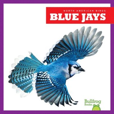 bokomslag Blue Jays
