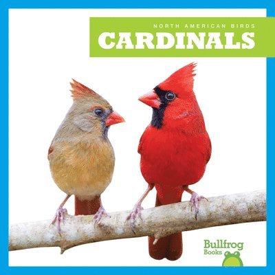 Cardinals 1