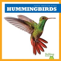 bokomslag Hummingbirds