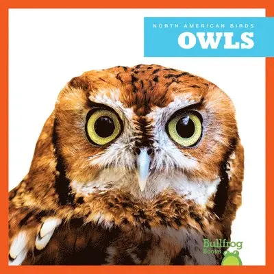 Rachel Grack - Owls, Häftad. Tillgänglighet: Lägg i varukorg