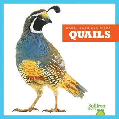 bokomslag Quails