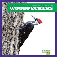 bokomslag Woodpeckers