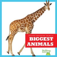 bokomslag Biggest Animals