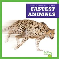 bokomslag Fastest Animals