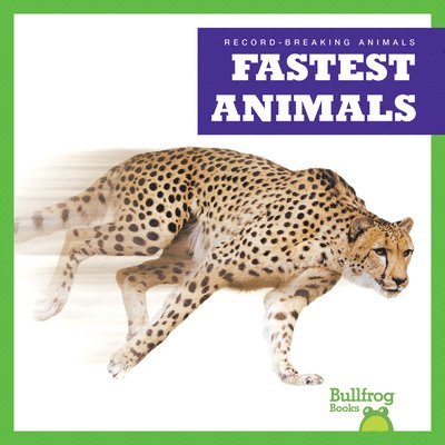 Fastest Animals 1