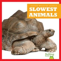 bokomslag Slowest Animals