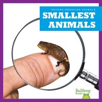 bokomslag Smallest Animals