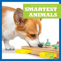 bokomslag Smartest Animals