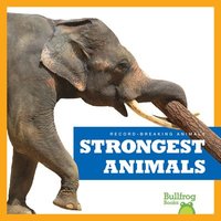 bokomslag Strongest Animals