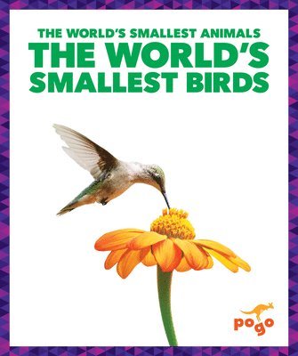 bokomslag The World's Smallest Birds