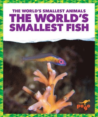 Becca Becker - The World's Smallest Fish, Häftad
