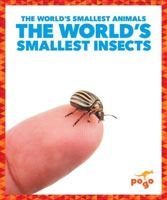 bokomslag The World's Smallest Insects