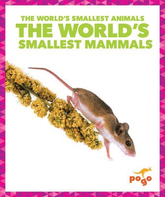 The World's Smallest Mammals 1