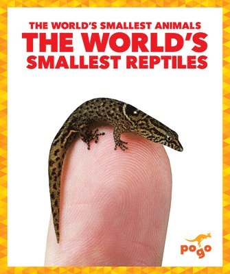 The World's Smallest Reptiles 1