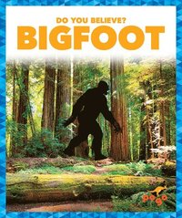 bokomslag Deniston, N: Bigfoot