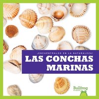 bokomslag Las Conchas Marinas (Seashells)