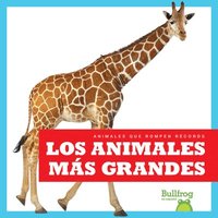 bokomslag Los Animales Más Grandes (Biggest Animals)