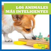 bokomslag Los Animales Más Inteligentes (Smartest Animals)