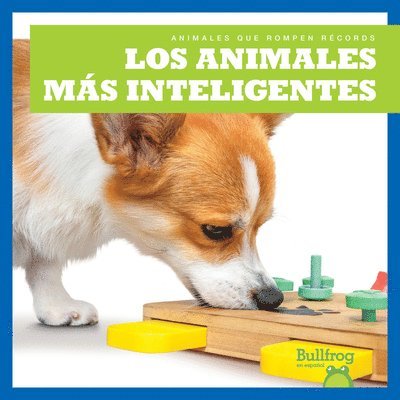 Los Animales Más Inteligentes (Smartest Animals) 1