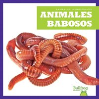 bokomslag Animales Babosos (Slimy Animals)