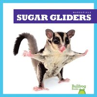 bokomslag Sugar Gliders