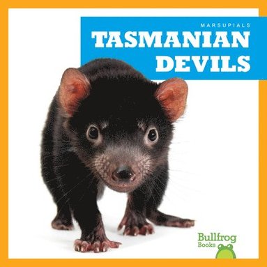 bokomslag Tasmanian Devils