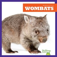 bokomslag Wombats