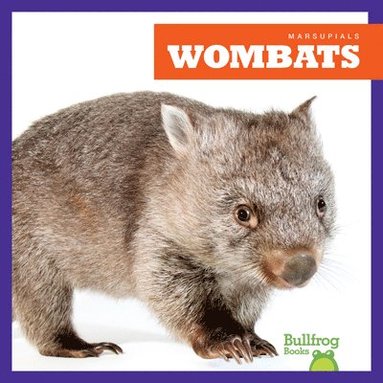 bokomslag Wombats