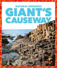 bokomslag Giant's Causeway