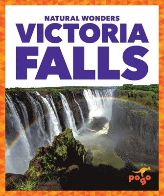 bokomslag Victoria Falls