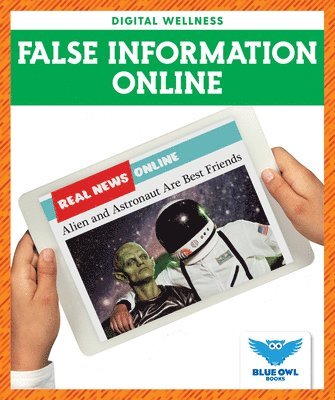 bokomslag False Information Online