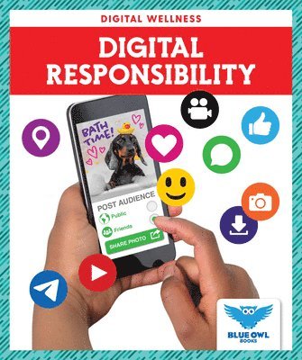 bokomslag Digital Responsibility