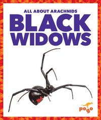 bokomslag Black Widows