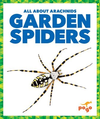 Garden Spiders 1