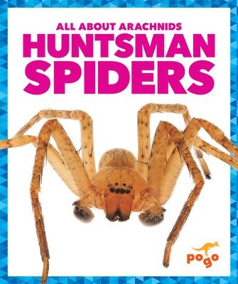 bokomslag Huntsman Spiders