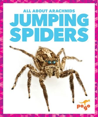 bokomslag Jumping Spiders