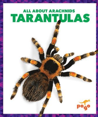 bokomslag Tarantulas