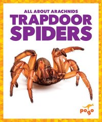 bokomslag Trapdoor Spiders