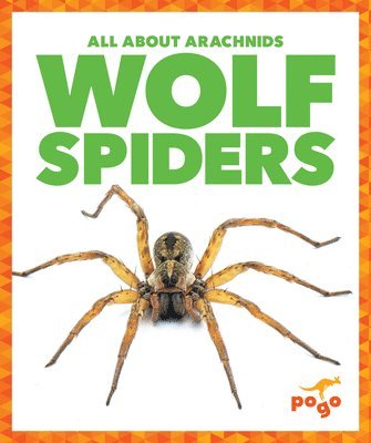 Wolf Spiders 1