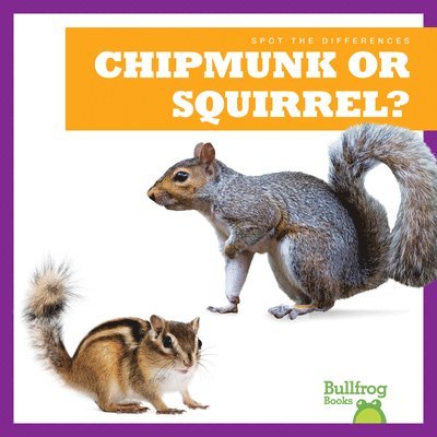 Chipmunk or Squirrel? 1