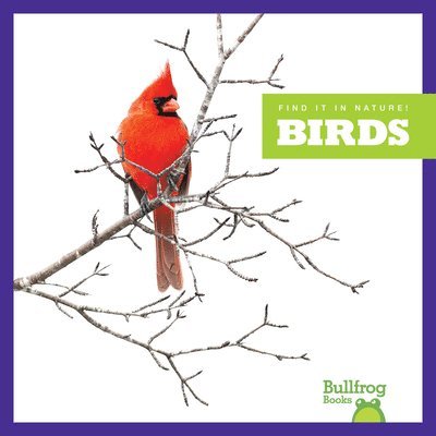 Jenna Lee Gleisner - Birds, Inbunden. Tillgänglighet: Lägg i varukorg