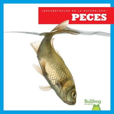 bokomslag Peces (Fish)