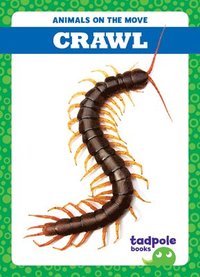 bokomslag Crawl