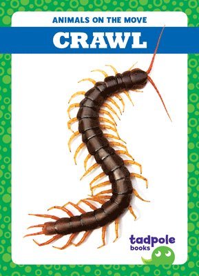 bokomslag Crawl