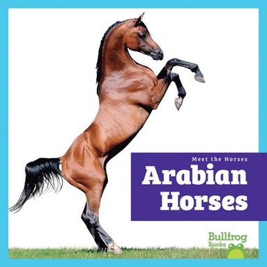 bokomslag Arabian Horses