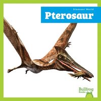 bokomslag Pterosaur