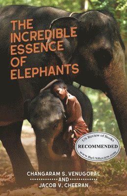 bokomslag Incredible Essence of Elephants