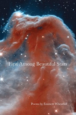 bokomslag First Among Beautiful Stars