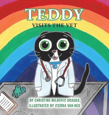 Teddy Visits The Vet - Hardcover