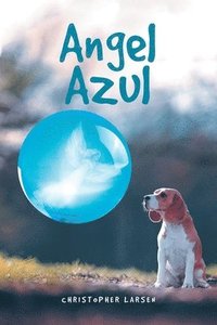 bokomslag Angel Azul